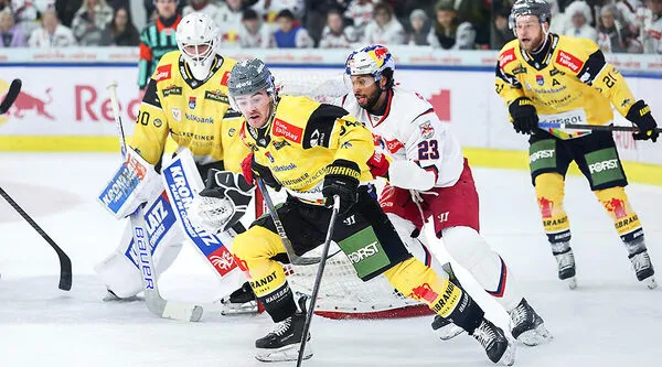 ice hockey league — AT news