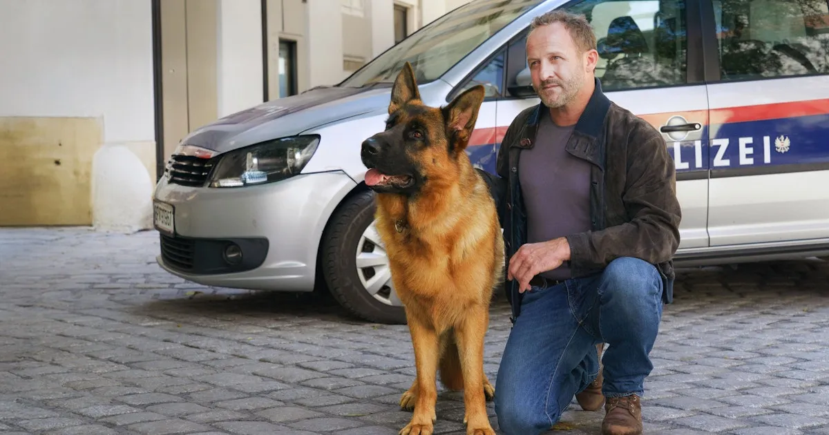 kommissar rex — AT news