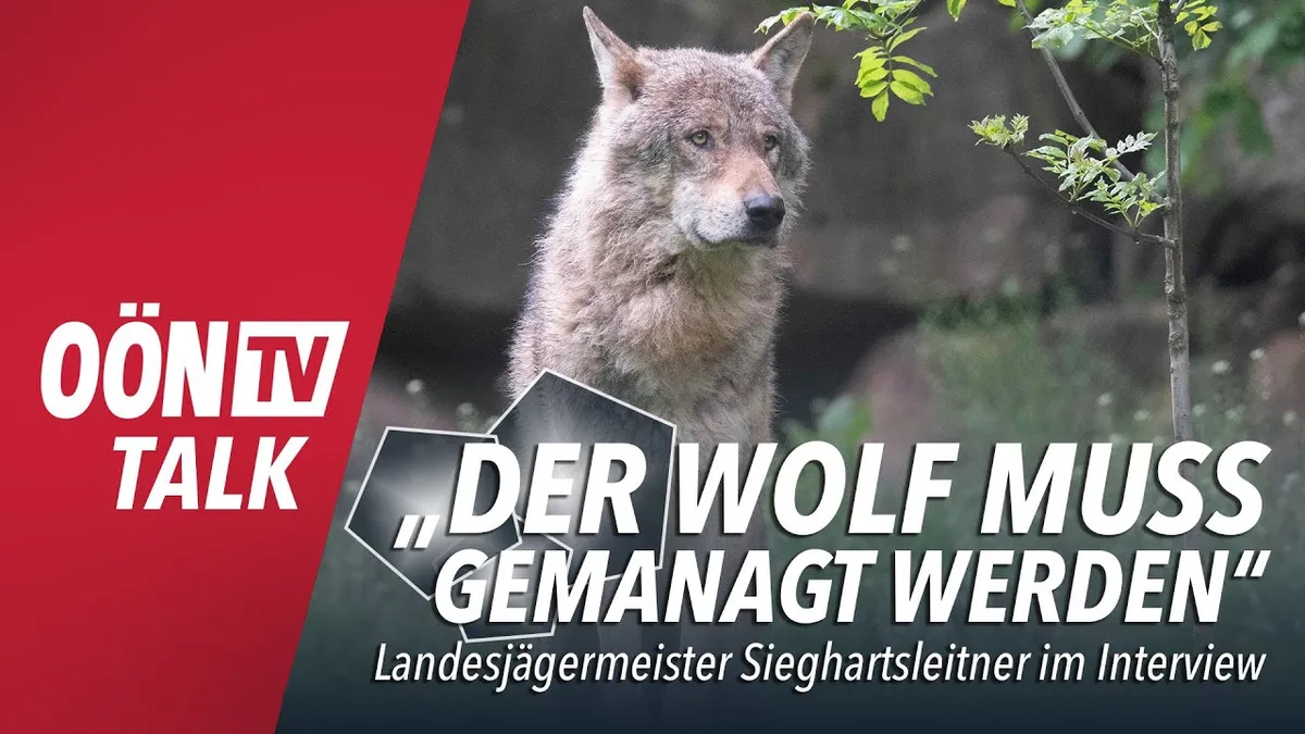 landesjägermeister — AT news