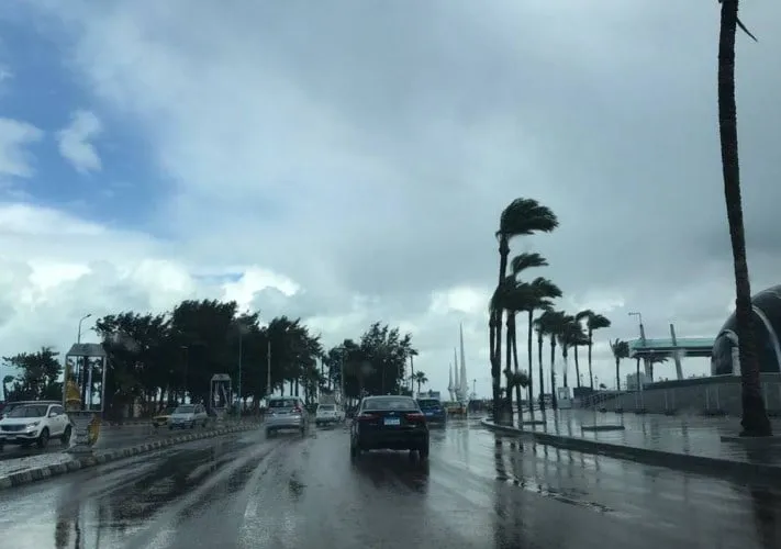 الطقس غدًا — AT news