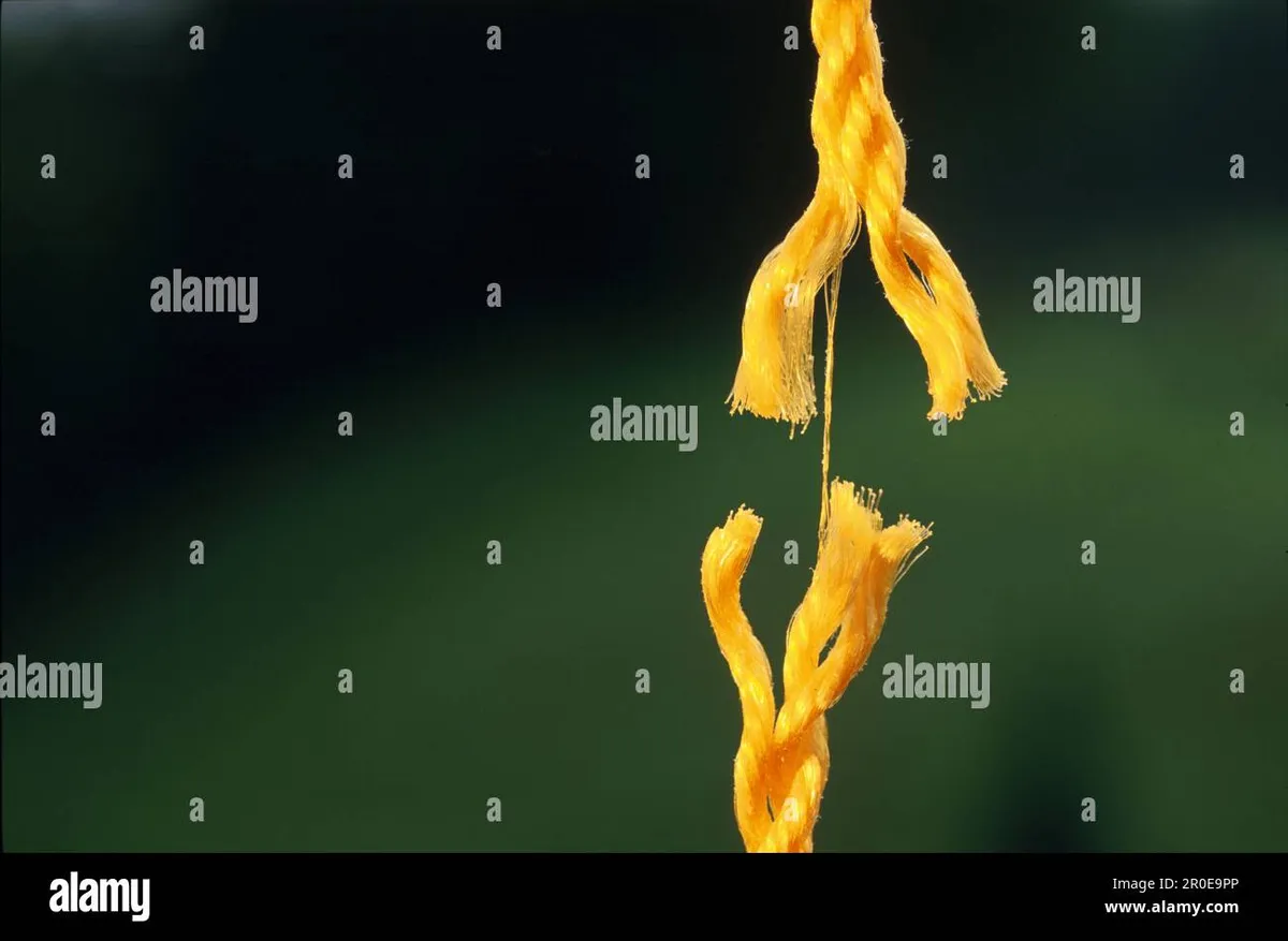 salzburg krimi am seidenen faden — AT news