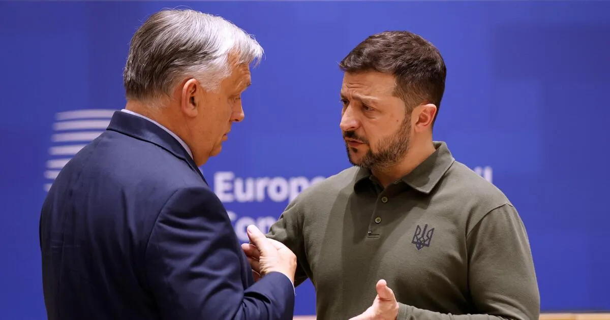 selenskyj droht viktor orban — AT news