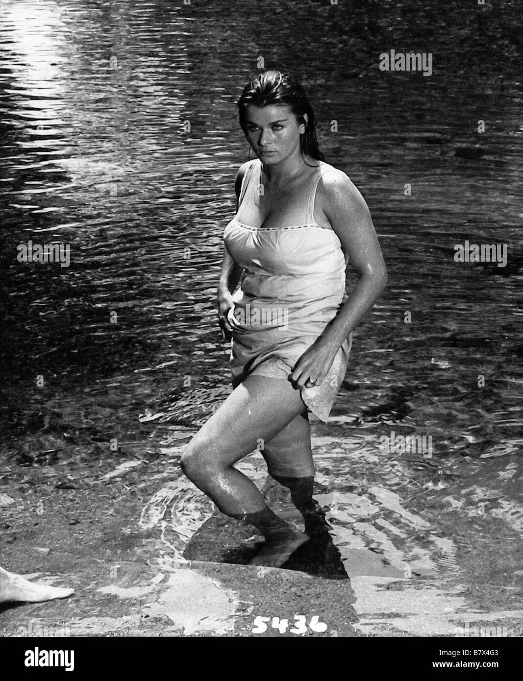 senta berger — AT news