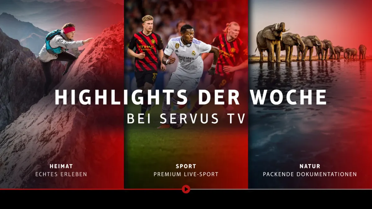 tv programm — AT news