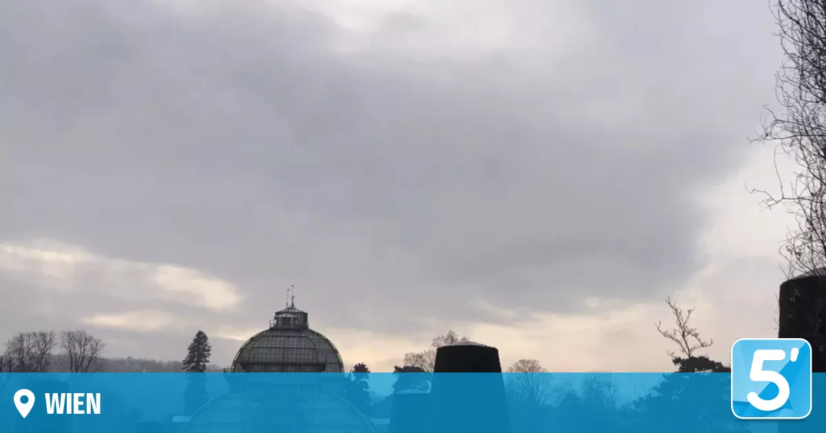 wetter wien — AT news
