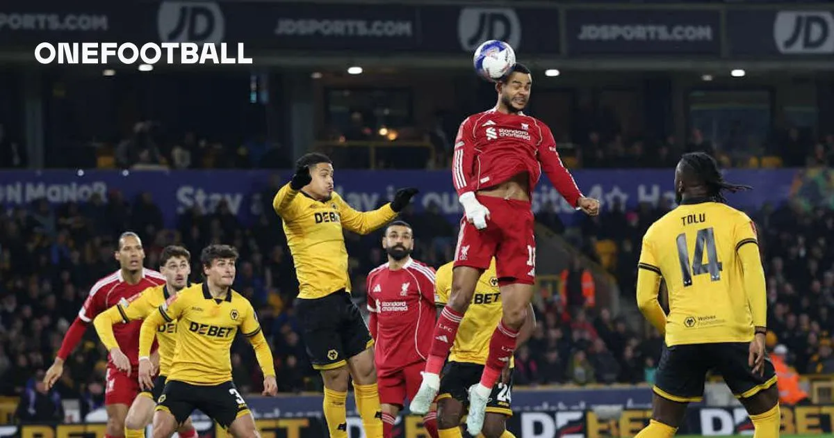 wolves vs liverpool — AT news