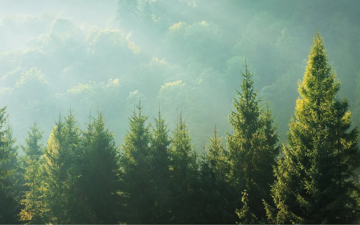 hons energiesysteme gmbh — AT news