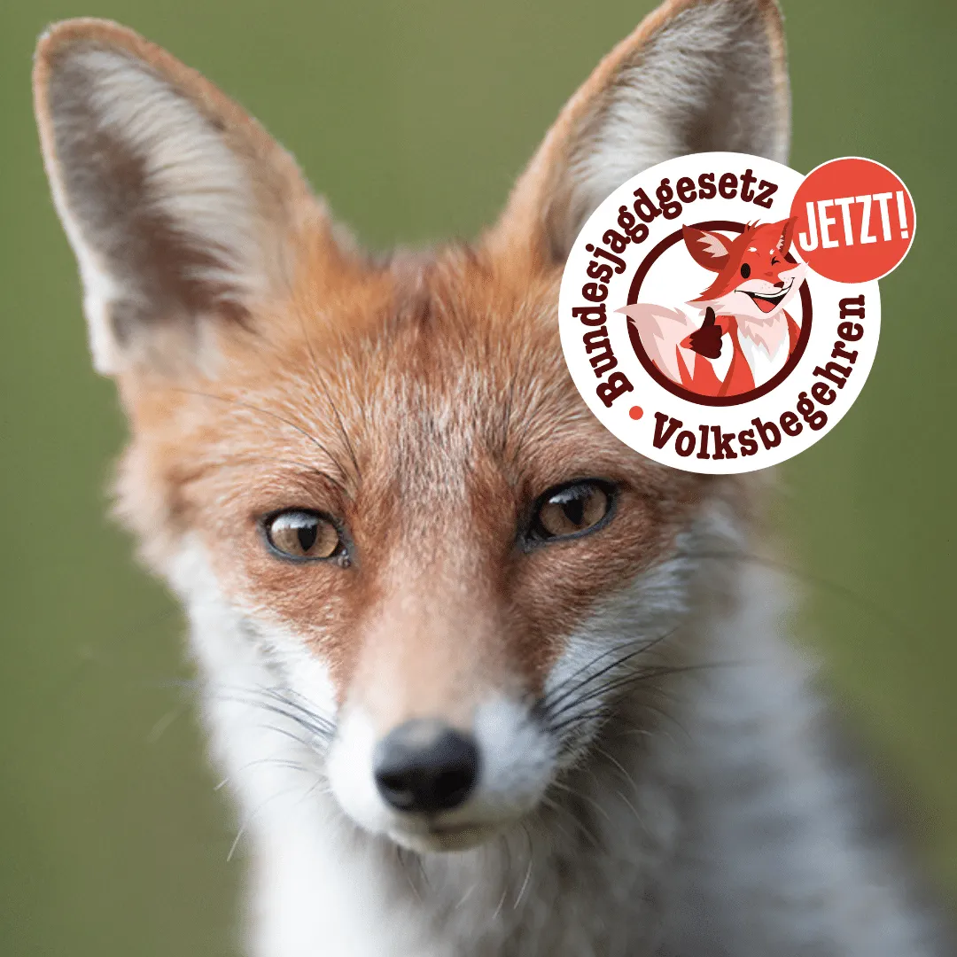 pensionisten volksbegehren fpö — AT news