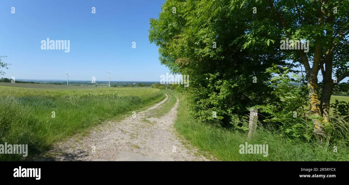 teutoburger wald — AT news