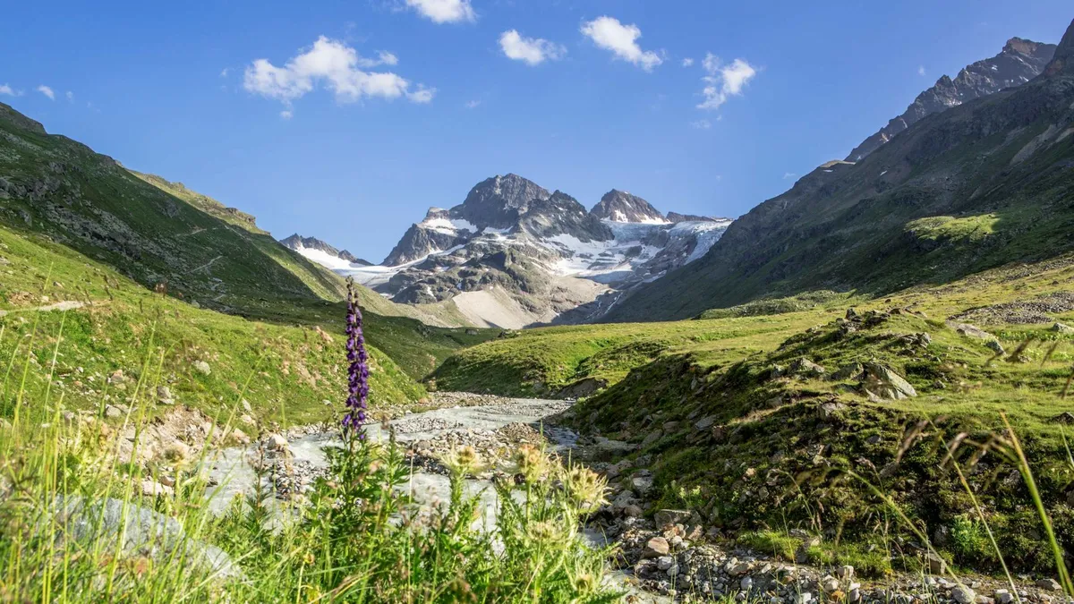 vorarlberg — AT news
