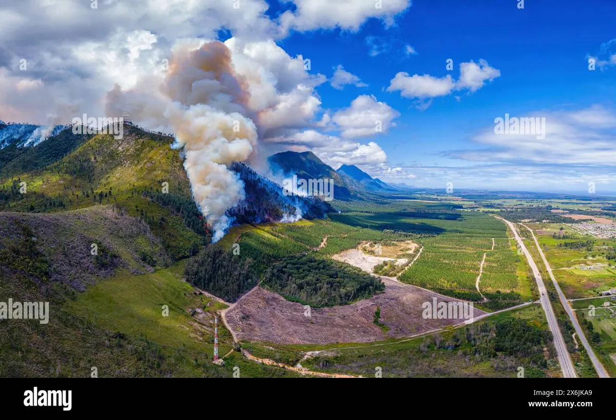 waldbrand — AT news