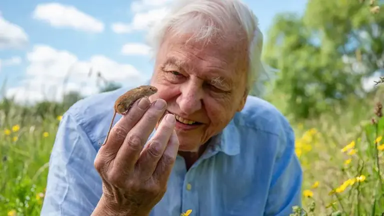 david attenborough — AT news