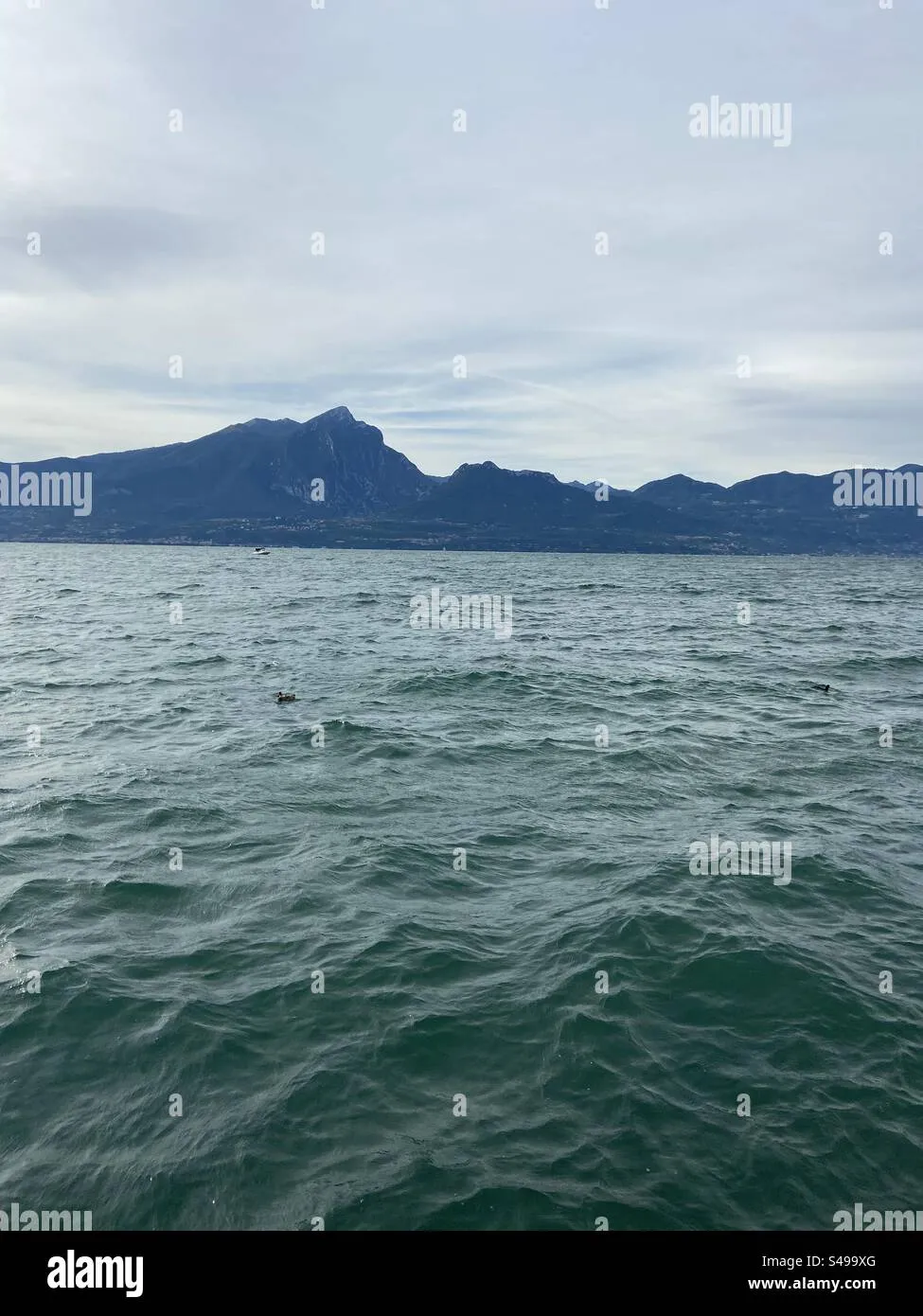 gardasee — AT news