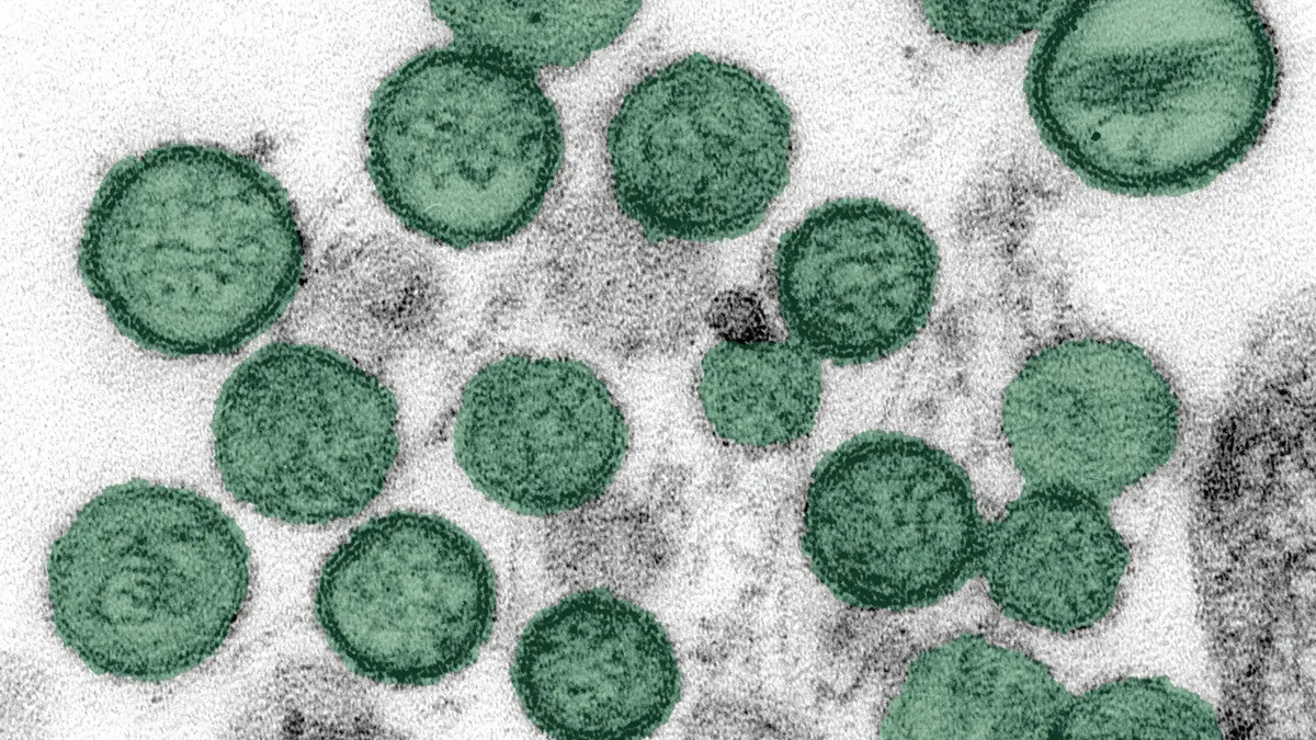 hantavirus auf kreuzfahrtschiff — AT news