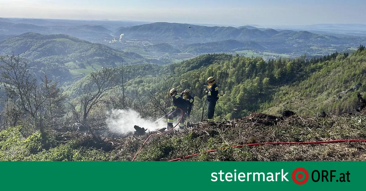 waldbrand — AT news